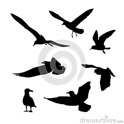 Vector set of seagulls silhouettes Vector Illustration