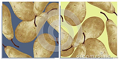 Vector set of seamless patterns with hand-drawn harvest juicy, delicious rich soft pears conference, with highlights, with a Stock Photo