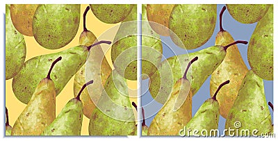Vector set of seamless patterns with hand-drawn harvest juicy, delicious rich soft pears conference, with highlights, with a Stock Photo