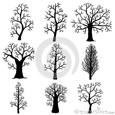 Set of silhouettes of bare autumn tree on white background. Vector Illustration
