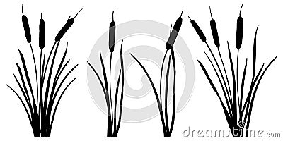 Vector set of simple silhouettes of Bulrush or reed or cattail or typha leaves in black isolated on white background. Vector Illustration