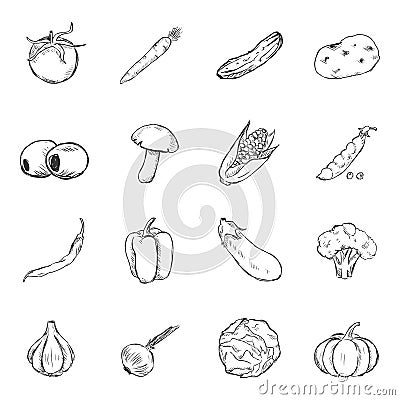 Vector Set of Sketch Vegetables Icons. Vector Illustration