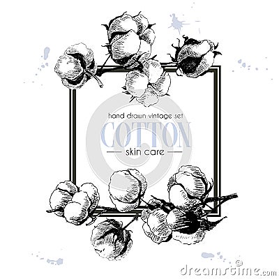 Vector set of skin care ingredients. Organic hand drawn elements. Cotton branch. Vector Illustration