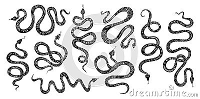 Vector set of snakes with ethnic ornament. Silhouettes of snakes with Scandinavian motives, totem animal snake graphic Vector Illustration