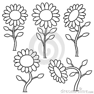 Vector set of sunflower Vector Illustration