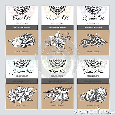 Vector set of templates packaging cosmetic Vector Illustration