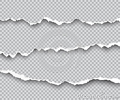 Vector set of torn paper edges with shadows isolated on transparent background Vector Illustration