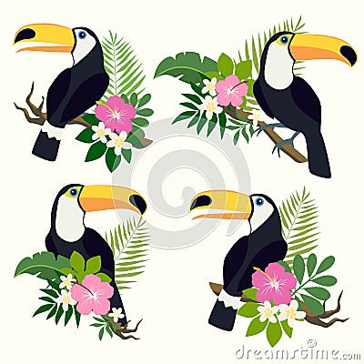 Vector set with toucan Vector Illustration