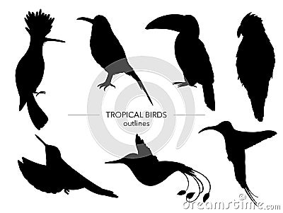 Vector set of tropical birds Vector Illustration