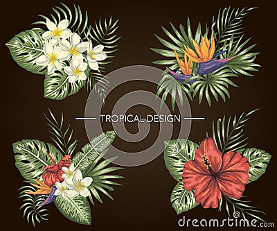 Vector set of tropical compositions with hibiscus, plumeria, strelitzia flowers, monstera Vector Illustration