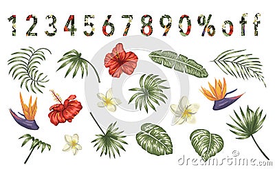 Vector set of tropical flowers and leaves isolated on white background. Bright realistic collection of exotic design elements. Vector Illustration