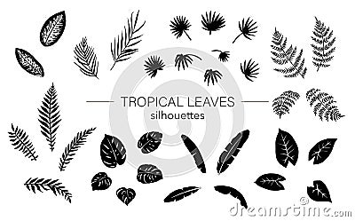 Vector set of tropical plant leaves silhouettes Vector Illustration