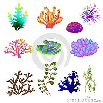 Vector set of underwater plants. Underwater plant, ocean and sea plant for aquarium Vector Illustration