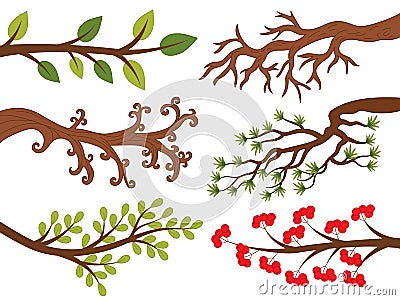 Vector Set of Various Tree Branches. Tree Branches Vector Illustration Vector Illustration