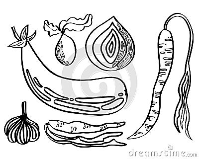 vector set of vegetables isolated pattern Vector Illustration