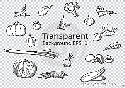 Vector set of vegetables isolated on transparent background. Vector Illustration