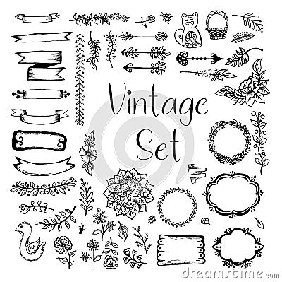 Vector Set Vintage Vector Illustration