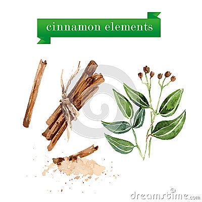 Vector set of watercolor cinnamon elements. Vector Illustration