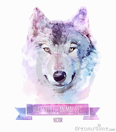 Vector set of watercolor illustrations. Cute wolf Vector Illustration