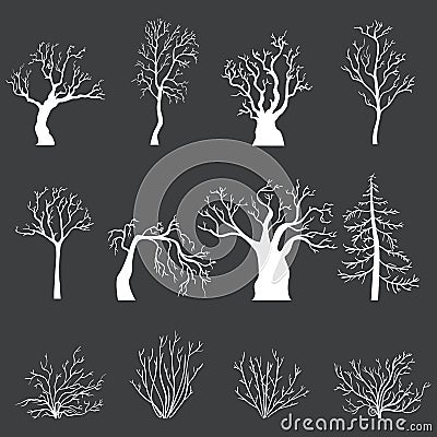 Vector Set of White Silhouettes of Bare Trees and Bushes without Leaves Vector Illustration