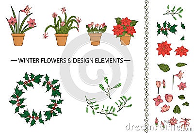 Vector set of winter flowers and design elements in pots Vector Illustration