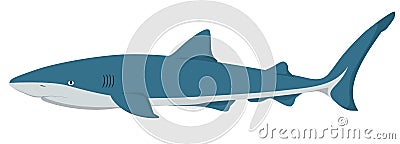 Vector Shark Vector Illustration