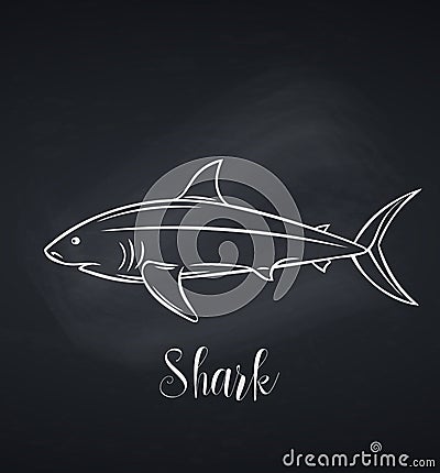 Vector shark chalk icon, blackboard Vector Illustration