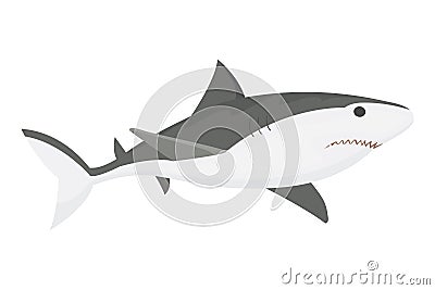 Vector shark character. Vector Illustration