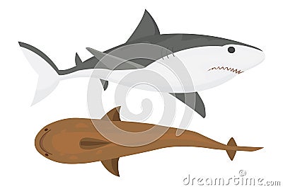 Vector shark character. Vector Illustration