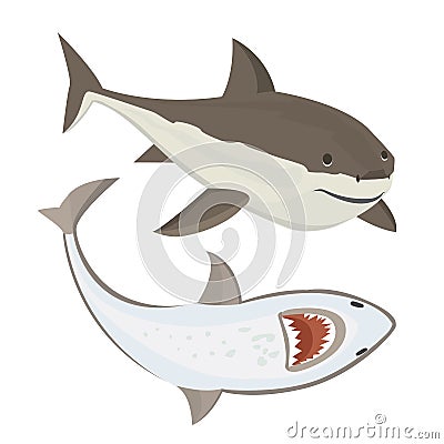 Vector shark character. Vector Illustration