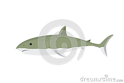 Vector shark character. Vector Illustration