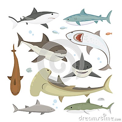 Vector shark different pose set. Vector Illustration