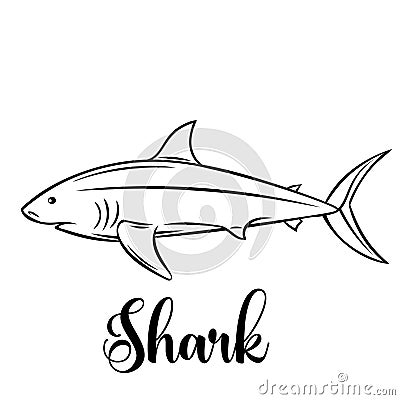 Vector shark. Vector Illustration