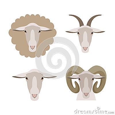 Vector sheep, goat ram lamb head isolated. Flat, cartoon style Vector Illustration