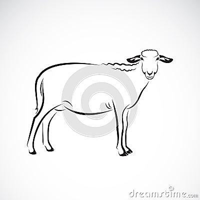 Vector of a sheep on white background. Vector Illustration