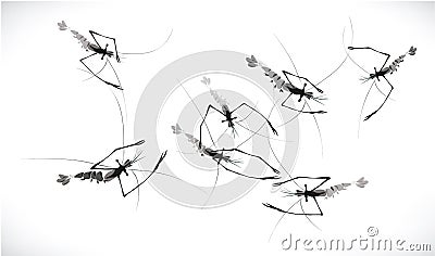 Vector shrimp swim Vector Illustration