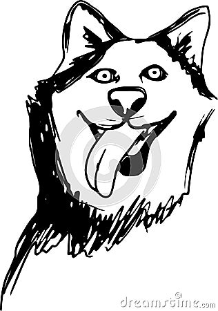 Vector siberian husky isolated on white background. Vintage hand drawn ink sketch with portrait dog Stock Photo