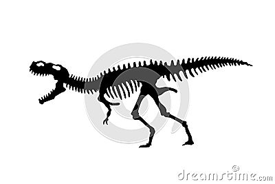 Vector silhouette of dinosaurs skeleton. Hand drawn dino skeleton. Dinosaur bones, exhibit fossils in the museum Vector Illustration