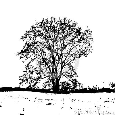 Vector silhouette of a leafless tree in a winter field on a white background Vector Illustration