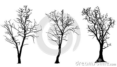 Vector silhouette of tree. Vector Illustration