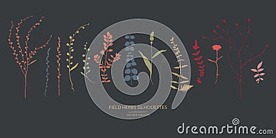 Set of field flowers, herbs. Vector silhouettes collection Stock Photo