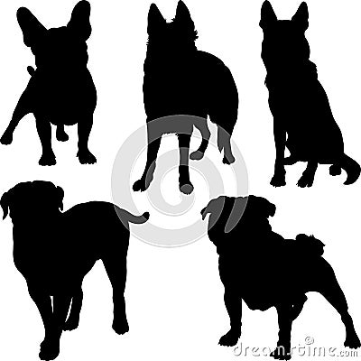 Vector silhouettes of different breeds of dogs in Vector Illustration