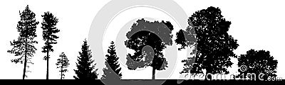 Vector silhouettes set of coniferous and deciduous trees ans bus Vector Illustration