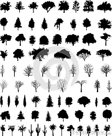 Vector trees Vector Illustration