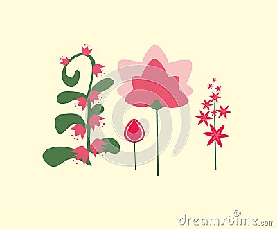 Vector simple, colorful flowers in a flat style Vector Illustration