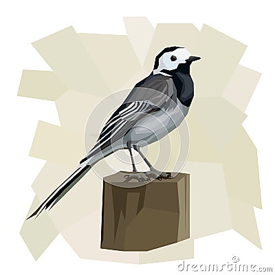 Vector simple illustration of wagtail bird. Vector Illustration