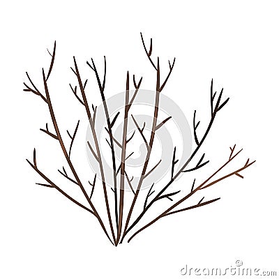 Vector Single Bare Brown Bush Vector Illustration