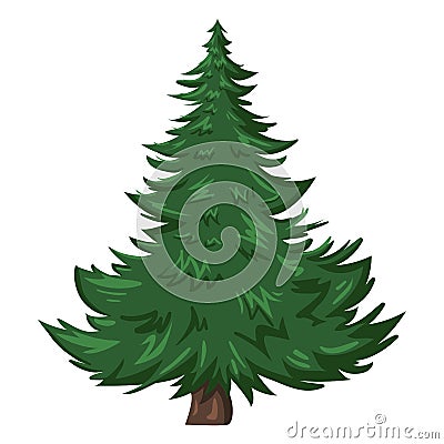 Vector Single Cartoon Pine Tree on White Background Vector Illustration