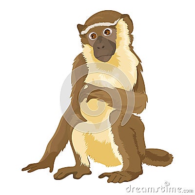 Vector Sitting Monkey Isolated Vector Illustration