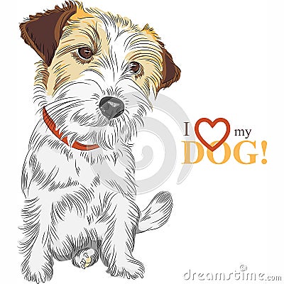 Vector sketch dog Jack Russell Terrier breed Vector Illustration